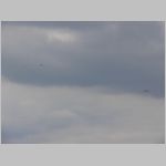 Flugtag _Lehrte_2010_083.jpg